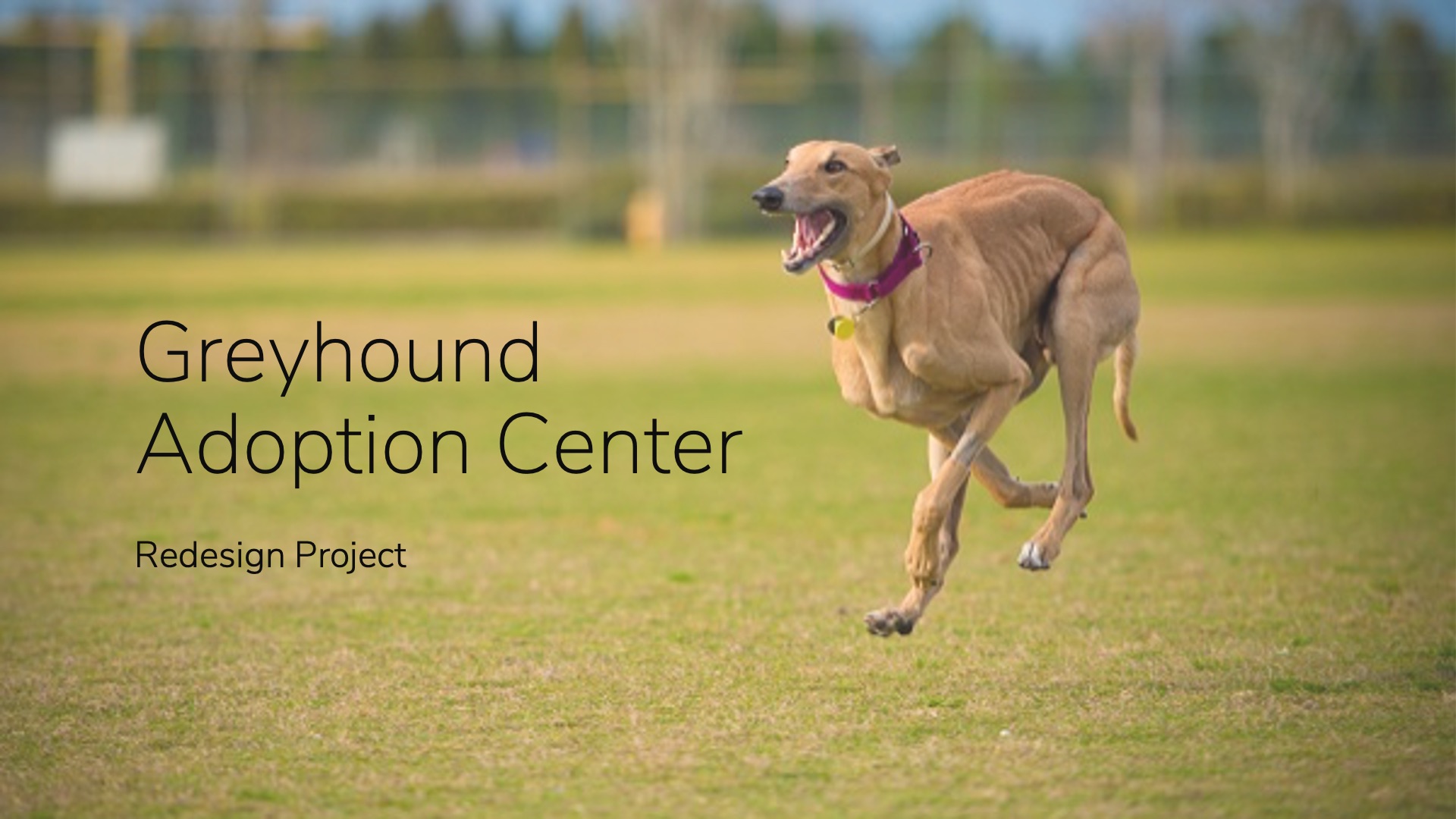 Cover Slide for GAC Presentation