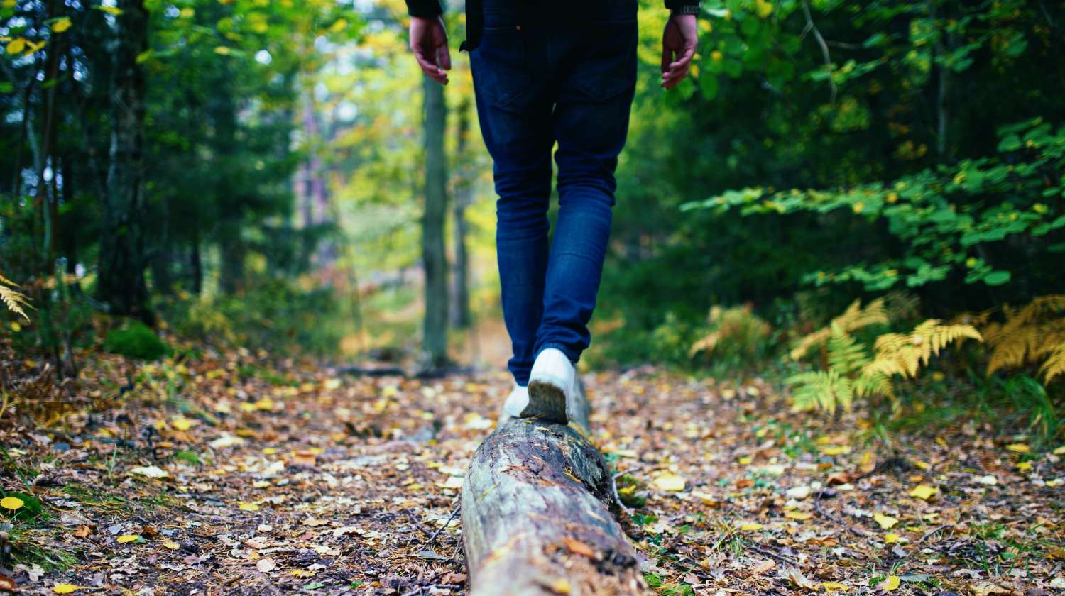 Person walking on log in woods